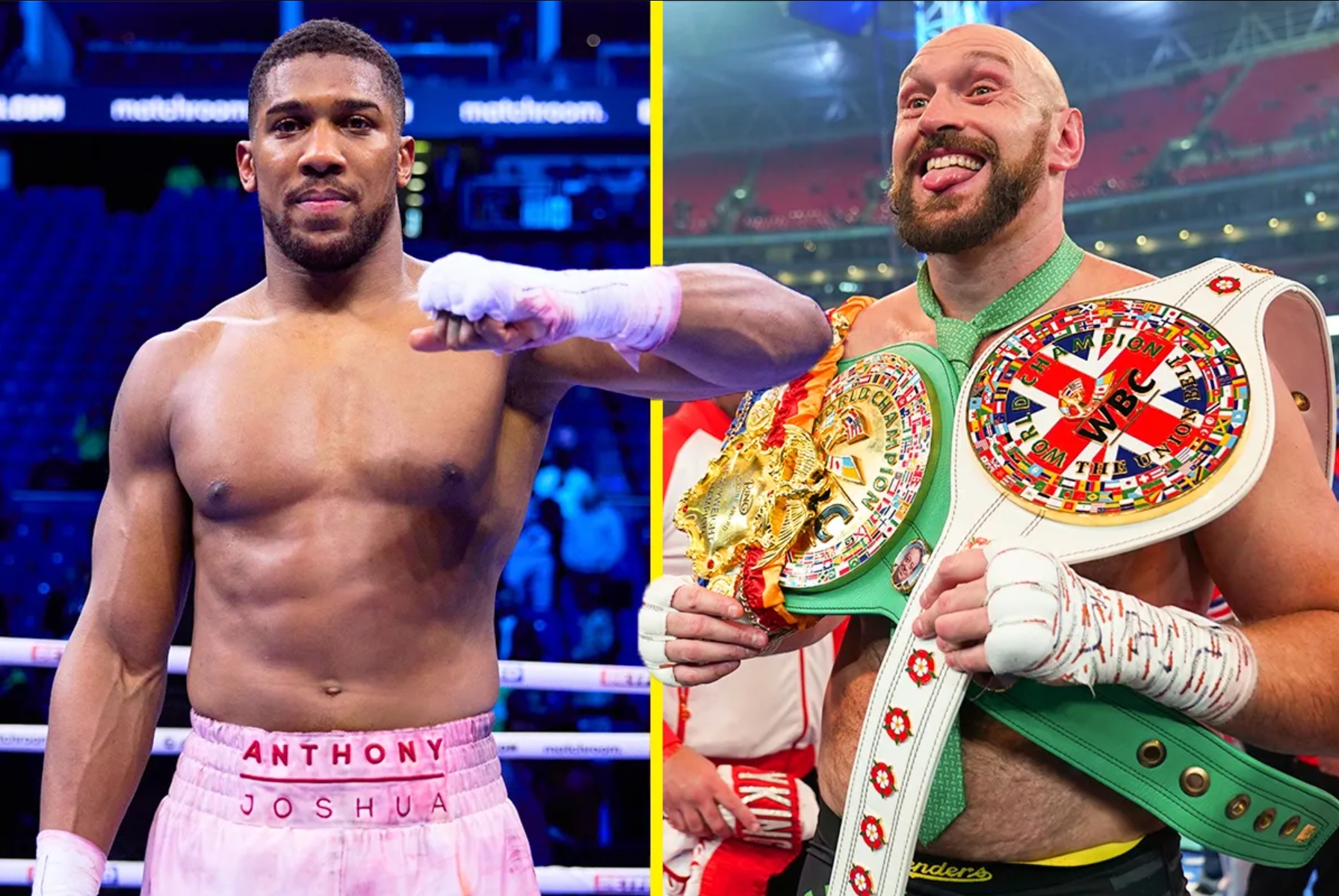 Tyson Fury and Anthony Joshua story