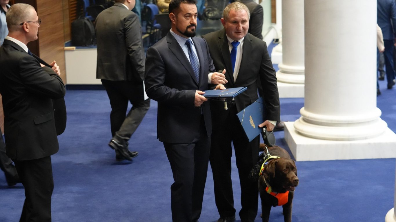 Guide dog Rover with Bulgarian MP Ivan Yanev inside parliament